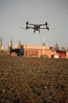 Drone Farming in Hami