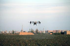 Drone Farming in Hami