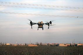 Drone Farming in Hami