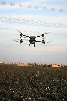 Drone Farming in Hami