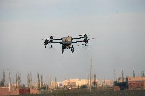 Drone Farming in Hami