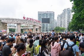 Tourists Watch Pandas at Chongqing Zoo