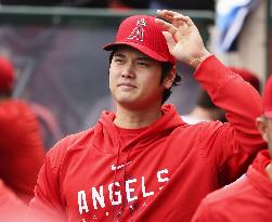 Baseball: Angels' Shohei Ohtani