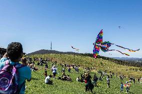 AUSTRALIA-CANBERRA-NATIONAL ARBORETUM-KITE FEST