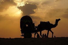 Camel Safari In Pushkar - India