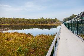 The EstoniaRussia border