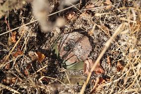 Demining works carried out in Kharkiv Region