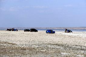 Velvet season at Kuyalnik estuary