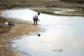 Velvet season at Kuyalnik estuary