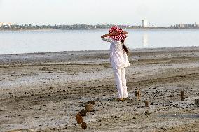 Velvet season at Kuyalnik estuary