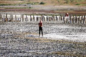 Velvet season at Kuyalnik estuary