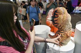 Wonder Festival 2022-2023 Held in Shanghai