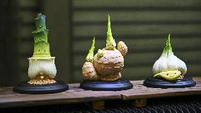 Wonder Festival 2022-2023 Held in Shanghai