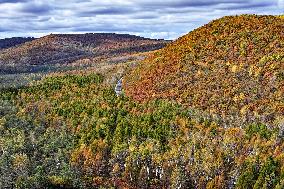 Lesser Khingan Mountains Autumn Scenery