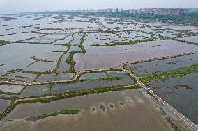 Salt Lake Autumn Scenery in Yuncheng