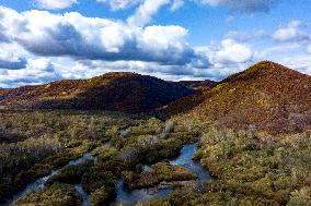 Lesser Khingan Mountains Autumn Scenery