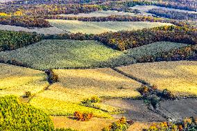 Lesser Khingan Mountains Autumn Scenery