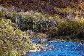 Lesser Khingan Mountains Autumn Scenery