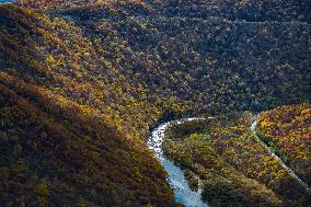 Lesser Khingan Mountains Autumn Scenery