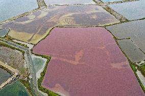 Salt Lake Autumn Scenery in Yuncheng