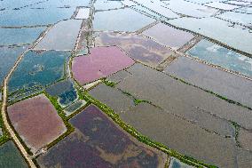 Salt Lake Autumn Scenery in Yuncheng