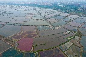 Salt Lake Autumn Scenery in Yuncheng