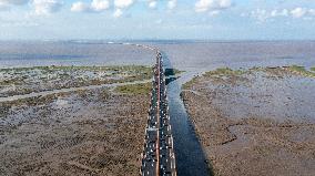 Vehicles Drive on The Hangzhou Bay Cross-Sea Bridge in Ningbo