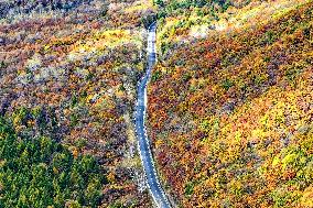 Lesser Khingan Mountains Autumn Scenery