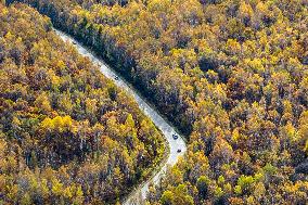 Lesser Khingan Mountains Autumn Scenery