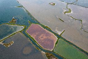 Salt Lake Autumn Scenery in Yuncheng