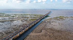 Vehicles Drive on The Hangzhou Bay Cross-Sea Bridge in Ningbo