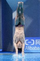 (SP)CHINA-HANGZHOU-ASIAN GAMES-DIVING (CN)