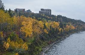 Fall Colours In Edmonton