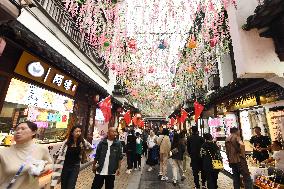 Tourist Travel Confucius Temple Scenic Area in Nanjing