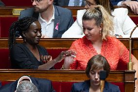Questions to the goverment at the National Assembly - Paris