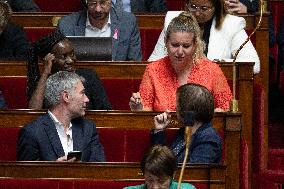 Questions to the goverment at the National Assembly - Paris
