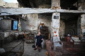 Daily Life In Gaza, Palestine