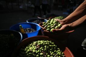 Palestinian Vendor Sells Olives