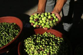 Palestinian Vendor Sells Olives