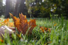 Autumn weather