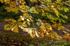 Autumn weather