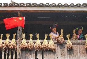 A Villager Dries Rice Stalks in Liuzhou