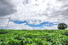 THAILAND-CHINA-CHAIYAPHUM-WIND TURBINES