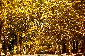 LEBANON-SAWFAR-FALL-FOLIAGE