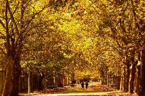 LEBANON-SAWFAR-FALL-FOLIAGE