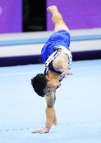 Artistic Gymnastics: World championships
