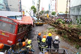 SRI LANKA-COLOMBO-TREE FALL-ACCIDENT