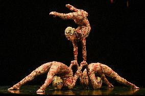 Cirque Du Soleil's KOOZA Production Brings Jaw-Dropping Acrobatics To Calgary