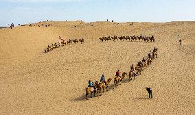 Tourists Experience Camel Riding in Bazhou