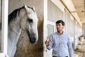 TURKMENISTAN-ASHKHABAD-AKHAL-TEKE HORSE